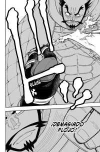 FIRE FORCE 29