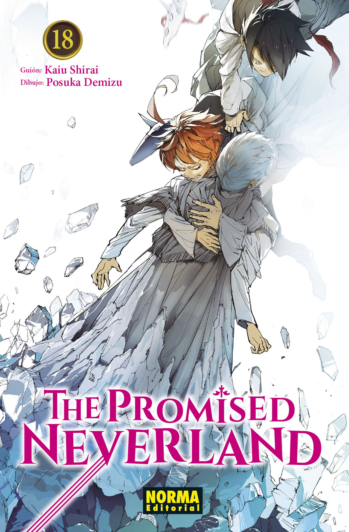 ✓ The Promised Neverland