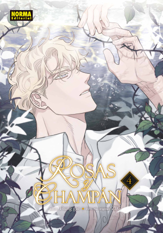ROSAS Y CHAMPÁN 4