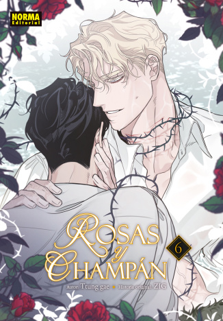 ROSAS Y CHAMPÁN 6