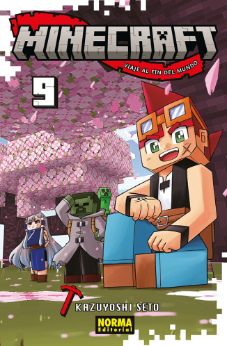 MINECRAFT 9