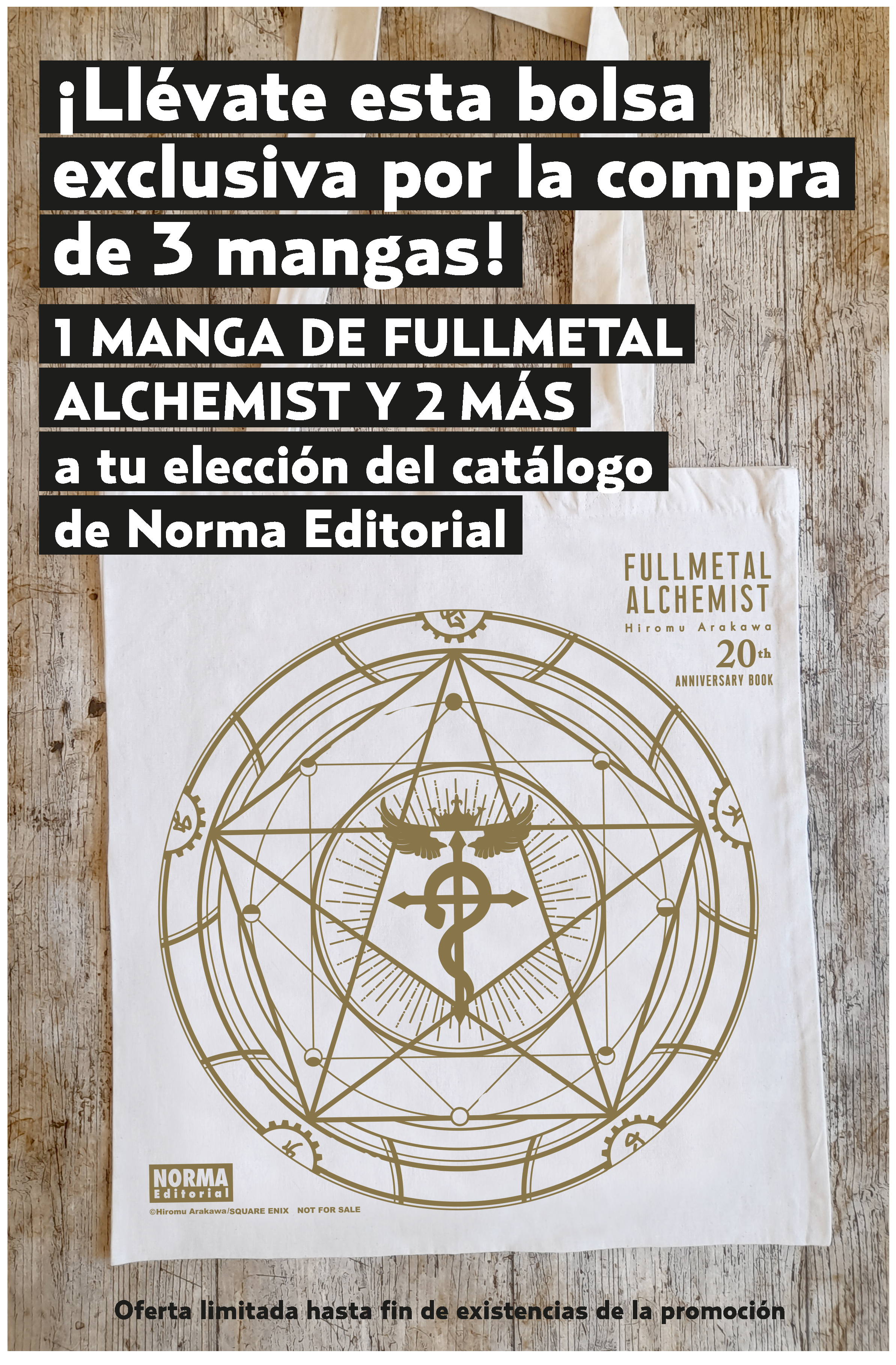 promo bolsa fma.png
