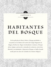 HARRY POTTER: LOS ARCHIVOS DE LAS PELÍCULAS 1. CRIATURAS DEL BOSQUE, DEL LAGO Y VOLADORAS