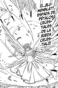 FAIRY TAIL 100 YEARS QUEST 17