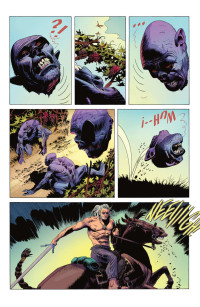 THE WITCHER 9. CORVO BIANCO