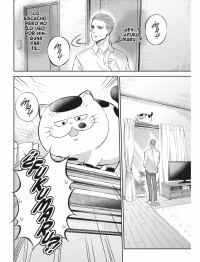EL HOMBRE Y EL GATO 12