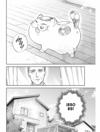 EL HOMBRE Y EL GATO 12
