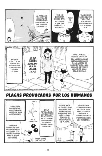 ARISTOCRACIA CAMPESINA 7