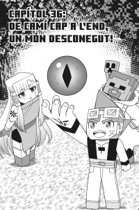 MINECRAFT 8 (CATALÀ)