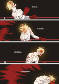 THE BOXER 12