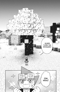 MINECRAFT 9 (CATALÀ)